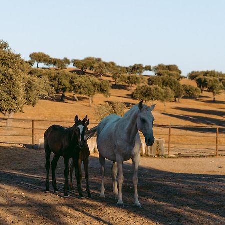 Herdade Da Caniceira Ervedal Dış mekan fotoğraf